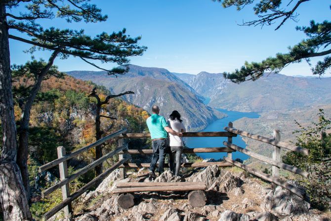 Tara Vidikovac Janjač Bajina Bašta Panorama Planina Pogled