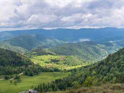 Tara, planina, Vidikovac