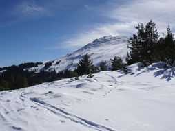 Ski centar Bugarska, skijanje