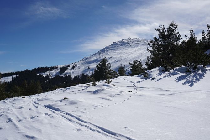 Ski centar Bugarska, skijanje