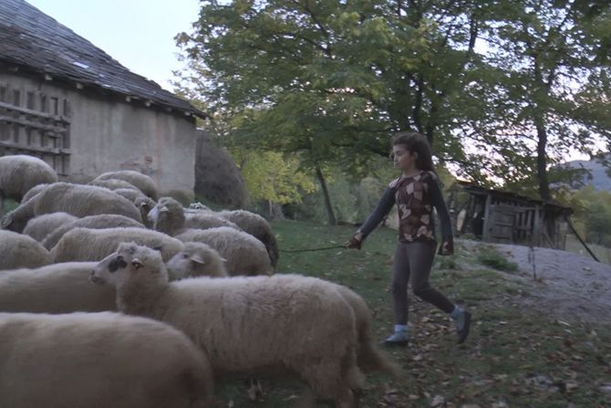 Dobrača, porodica Đoković