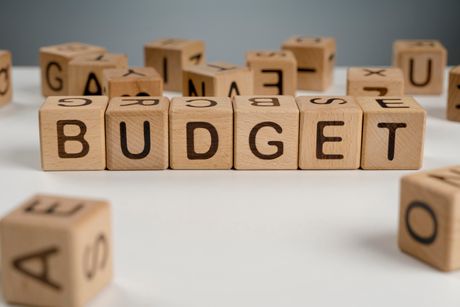 budžet