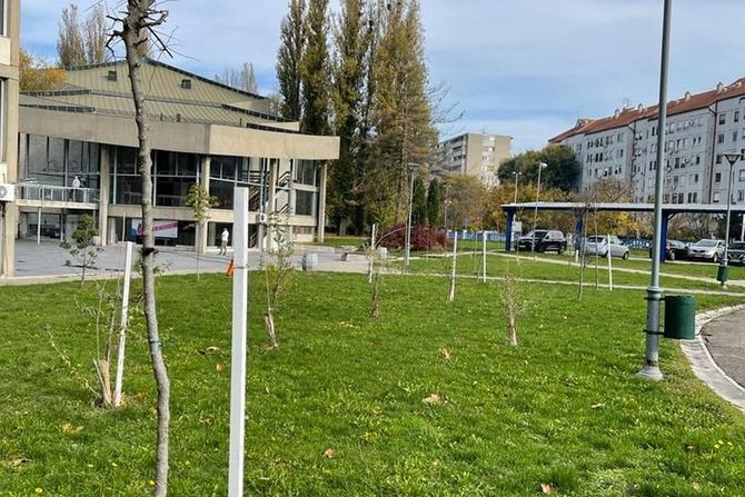 Studentski centar Beograd