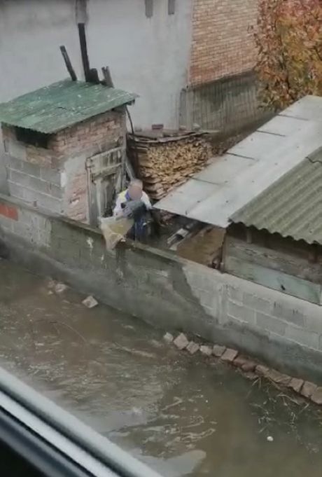 Borča, komšija, poplava