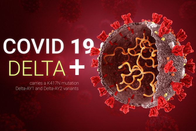 Korona virus, Delta plus + soj, corona, covid 19