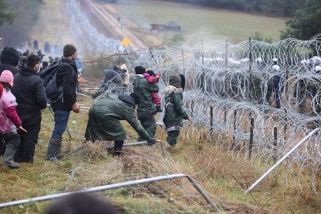 Migranti, Poljska, Belorusija, granica