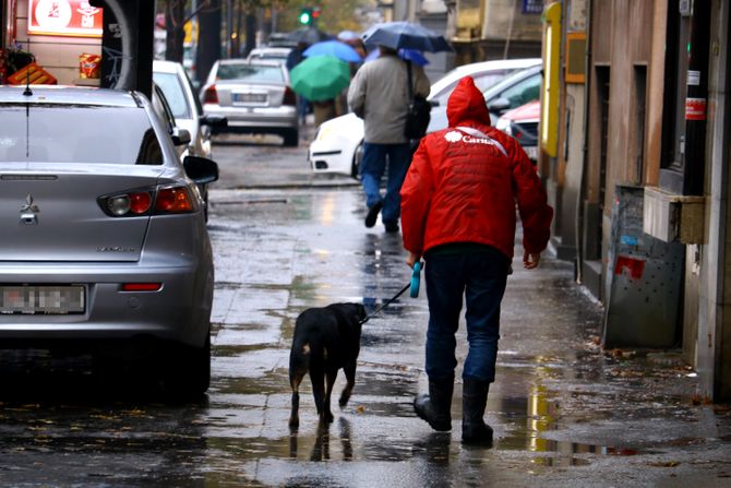 Kiša kišni dan kiša u Beogradu Kiša kišni dan kiša u Beogradu