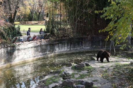 Palić Zoo vrt