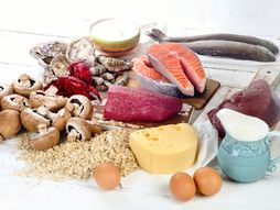 Vitamini, zdrava hrana, pečurke, meso, sir, jaja, losos