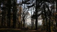 "Molimo vas da ne prilazite Seki" Meštani sa Fruške gore uputili važan apel: "Pratimo je..."