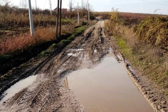 Varagići, Donje Trnovo Varagići, Donje Trnovo