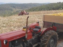 traktor, njiva,