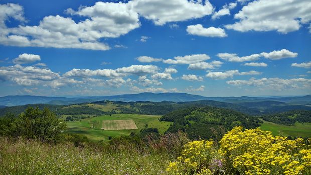 planina Javor