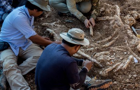 Paleontologist dinosaur skeleton skelet dinosaurus iskopavanje arheologija