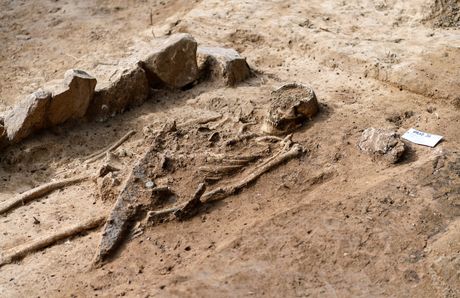 Arheološko nalazište, skelet , Nemačka