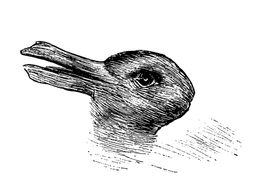 Patka zec optička iluzija