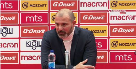 Dejan Stanković, FK Crvena zvezda
