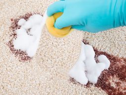 Fleke, tepih, čišćenje, trikovi