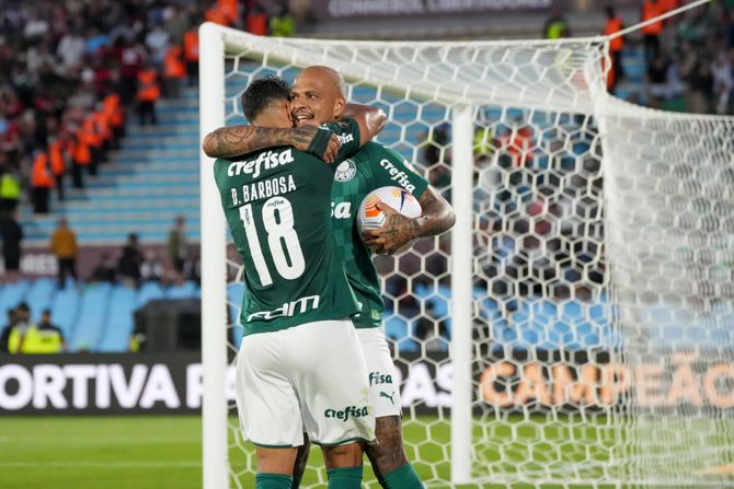 Palmeiras, Flamengo