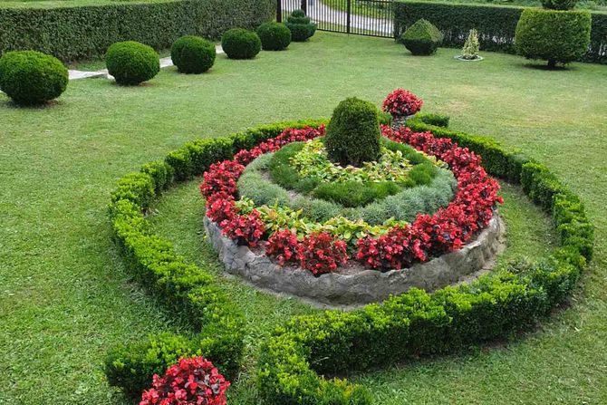 dvorište, vrt, dvorište, vrt,