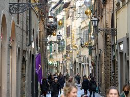 Prodavnica FK Fjorentina