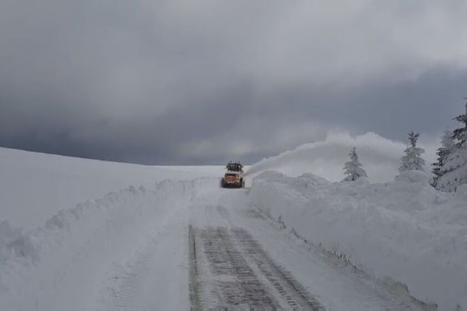 Sneg, Zlatibor, Tara, Golija