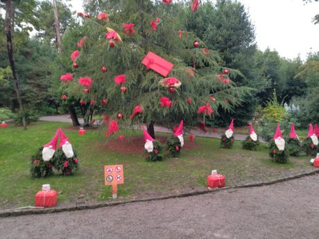 Festival čokolade, Advent Opatija