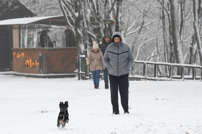 Sneg Fruška gora