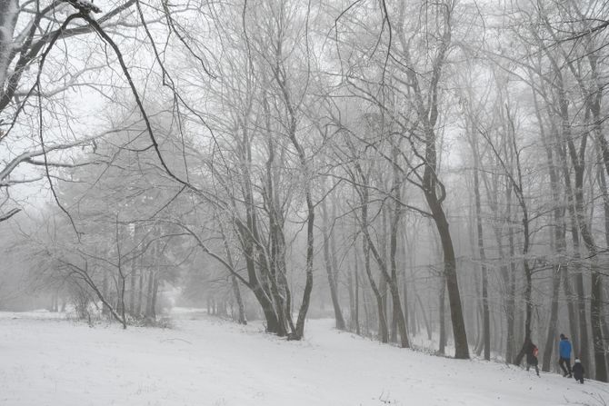 Sneg Fruška gora