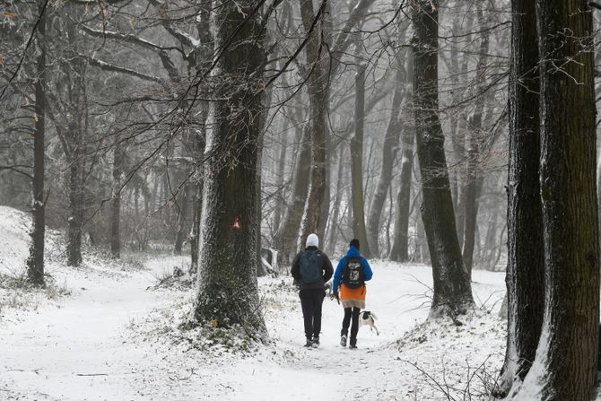 Sneg Fruška gora