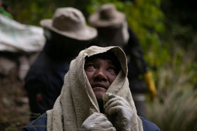 Sakupljanje meda u Nepalu Sakupljanje meda u Nepalu