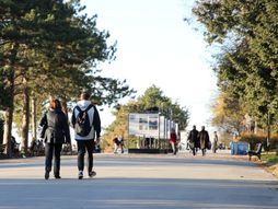 Kalemegdanska tvrđava