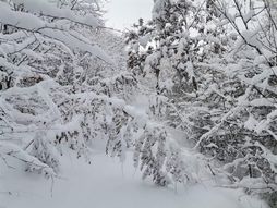 Sneg u Ivanjici i Novoj Varoši, nevreme. mećava