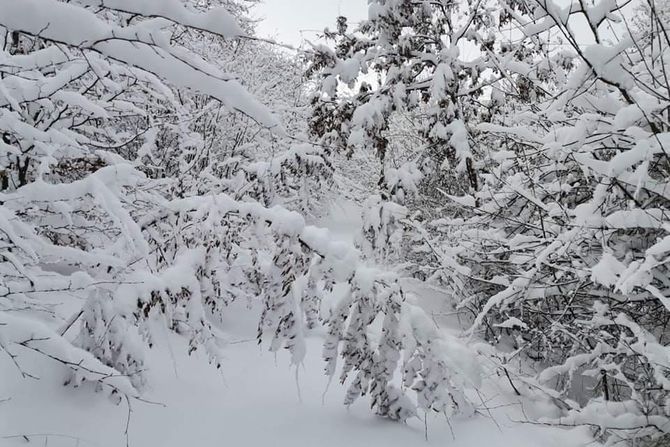 Sneg u Ivanjici i Novoj Varoši, nevreme. mećava