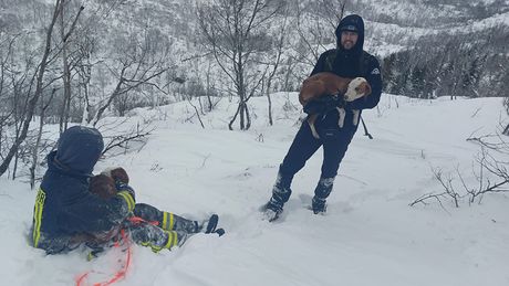 Dinara, Članovi Dobrovoljnog vatrogasnog društva sveta Ana iz Lištana, potraga za nestalim psima