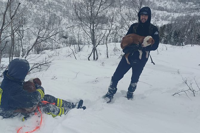 Dinara, Članovi Dobrovoljnog vatrogasnog društva sveta Ana iz Lištana, potraga za nestalim psima