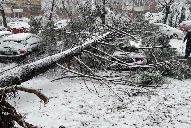 Ustanicka palo drvo, sneg, nevreme