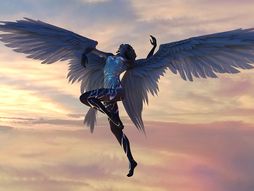 Venera horoskop Zodijak Astrologijs