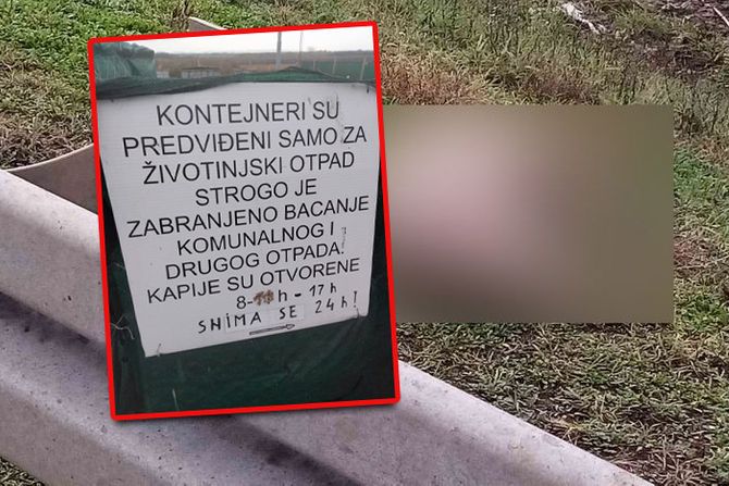 Laćarak, deponija, svinjski otpad