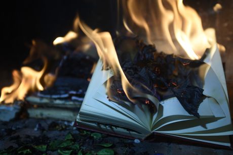 knjiga gori