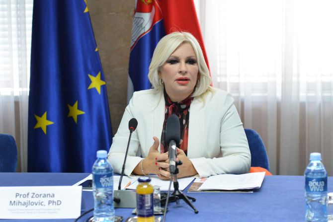 Konferencija Zajedno za okončanje dečjih brakova Zorana Mihajlović Gordana Čomić deca brakovi