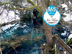 Krupajsko vrelo zima