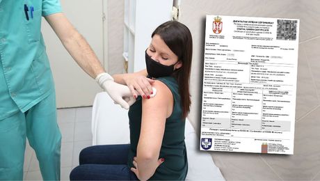 Zeleni sertifikat, Institut Torlak, Vakcinacija vakcina revakcina Ljubinka