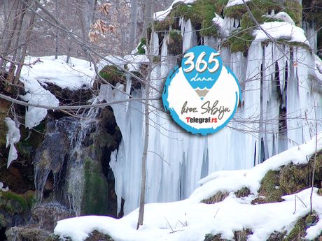 365 dana Žagubica vodopad Buk