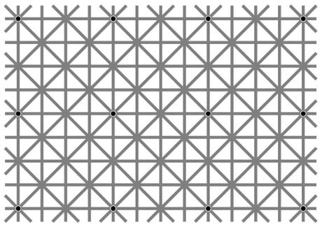 iluzja optička Will Kerslak