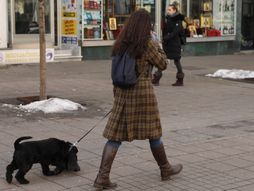 Beograd, Decembar 2021