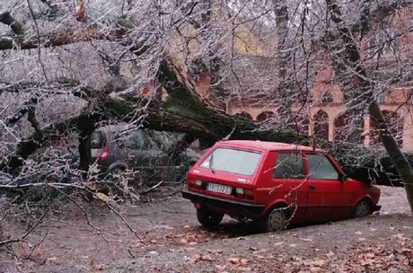Subotica, ledena kiša, šteta
