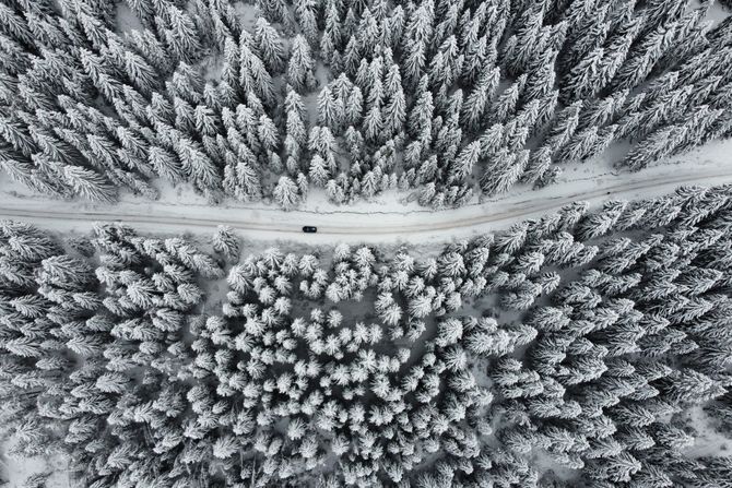 Zlatar planina zima sneg