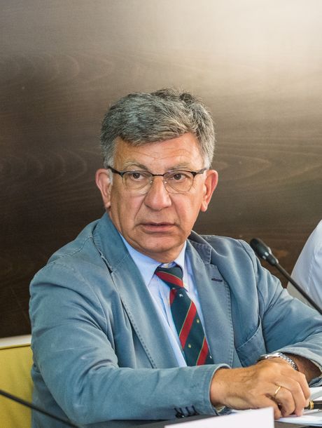 prof. dr Jovan Despotović, predsednik Nadozrnog odbora JP EPS