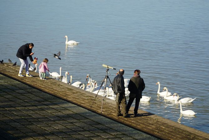 lepo suncano vremenska prognoza šetnja odmor BEOGRAD ATMOSFERA PRAZNICI